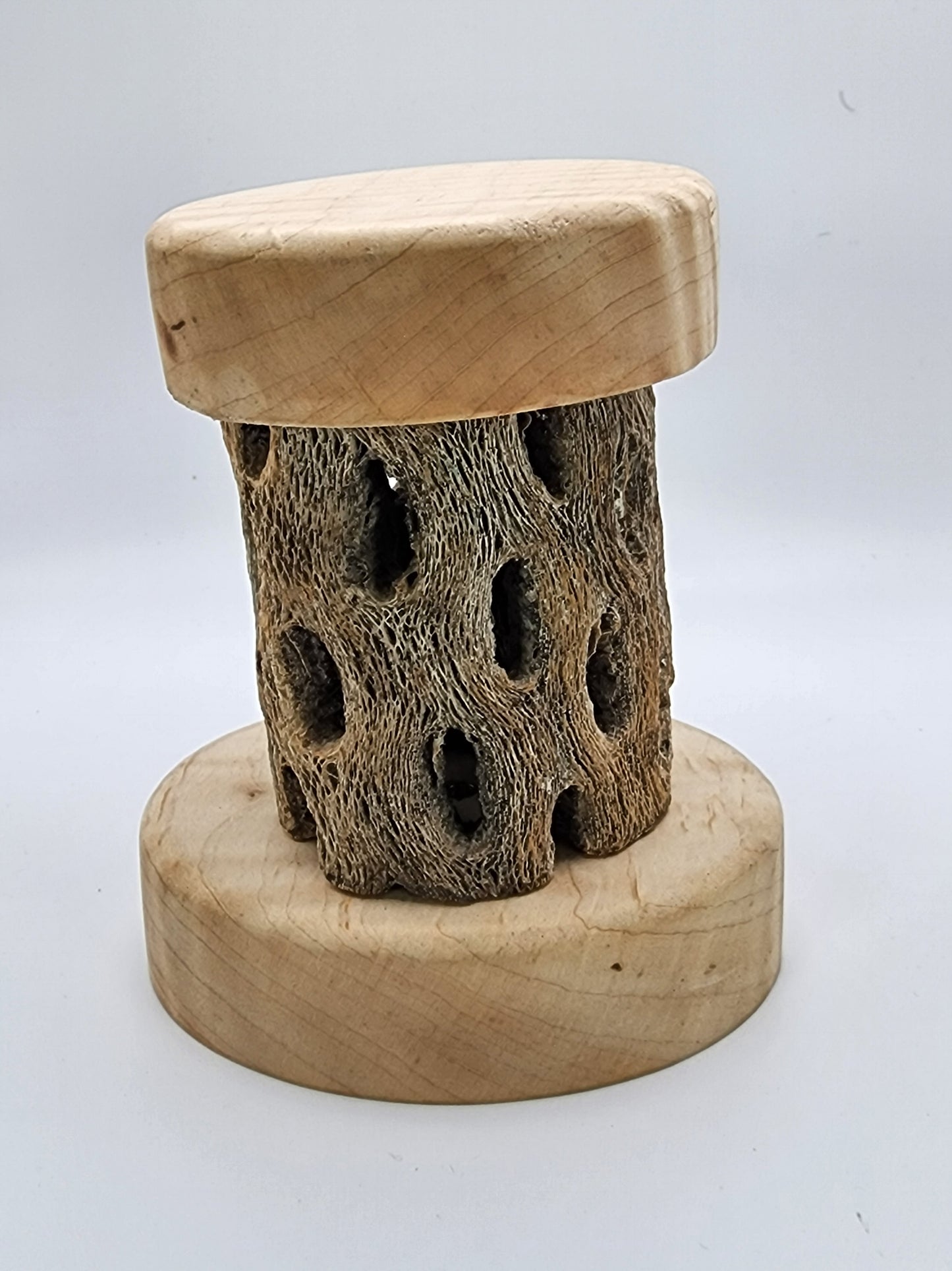 Saguaro Cactus with solid Curly Maple base & cap