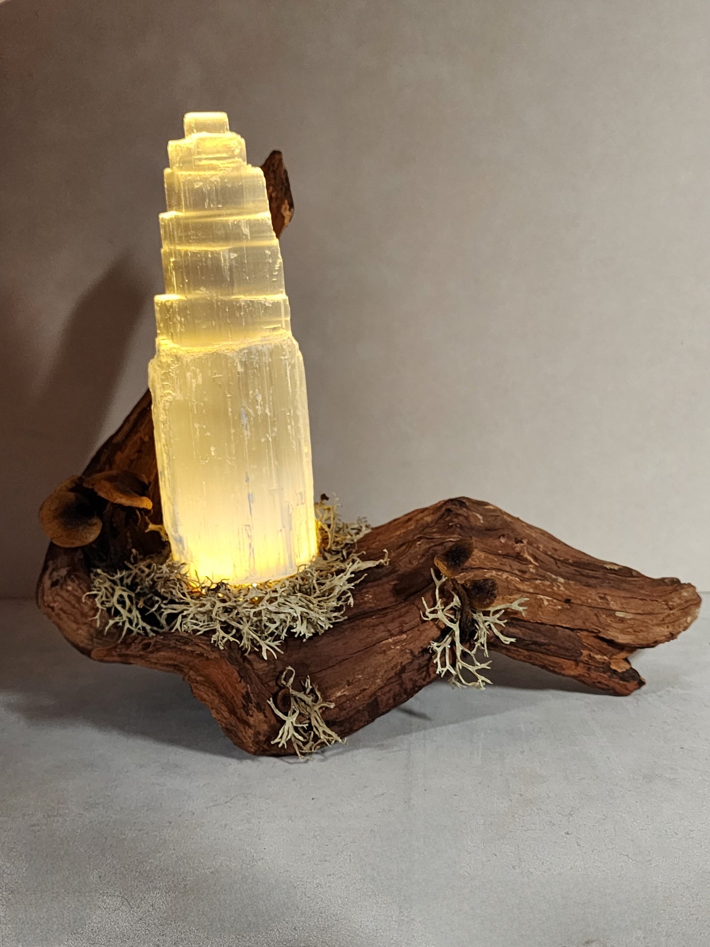 Selenite Crystal and Driftwood Lamp