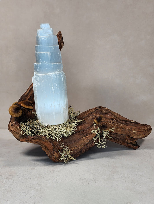 Selenite Crystal and Driftwood Lamp