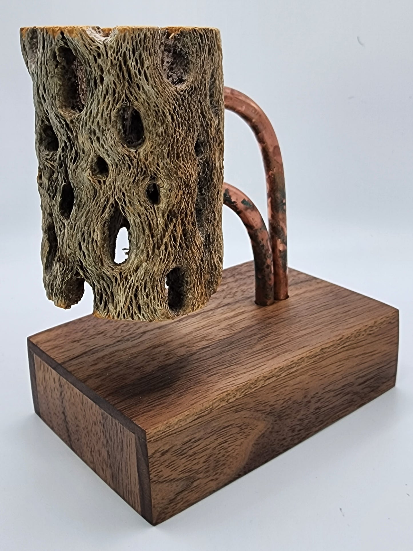 Saguaro Cactus elevated on Walnut base