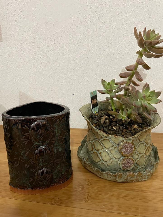 Ceramic Succulent Pots