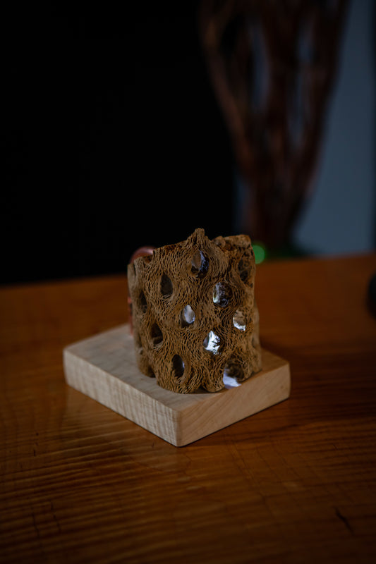 Saguaro Cactus with copper on solid Curly Maple base