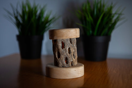 Saguaro Cactus with solid Curly Maple base & cap